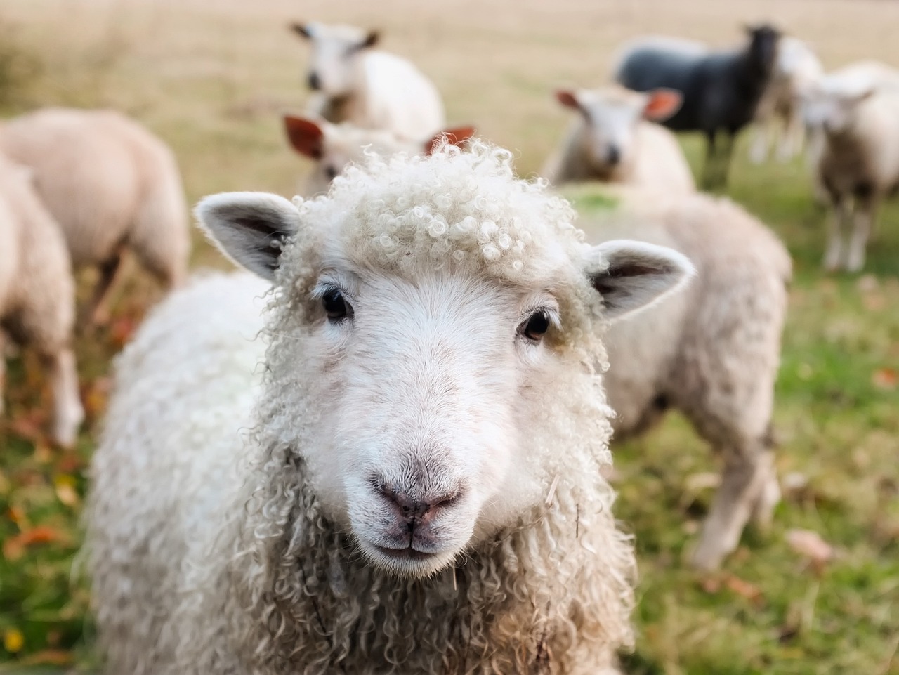 A Marketing Trend That Needs to Die: Verbing a Noun